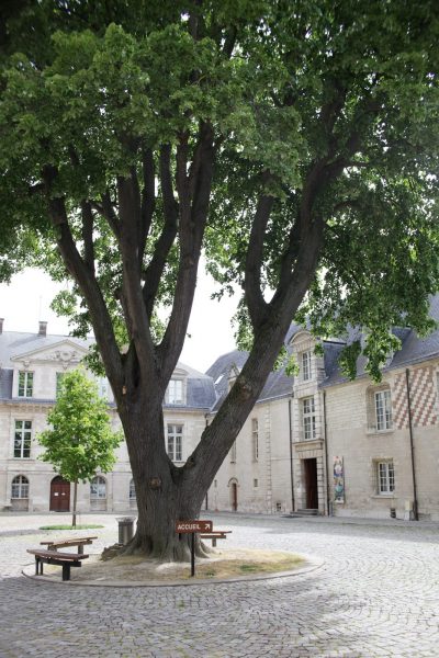 Musée d&rsquo;Art moderne – Collections nationales Pierre et Denise Lévy – JEP 2026