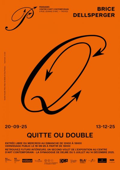 Exposition « Quitte ou Double » de Brice Dellsperger