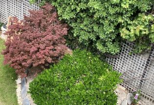 © I. Etienne - Le Boudoir