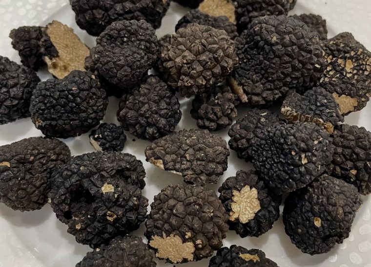 Week-end autour de la truffe à la Villa de la Croix