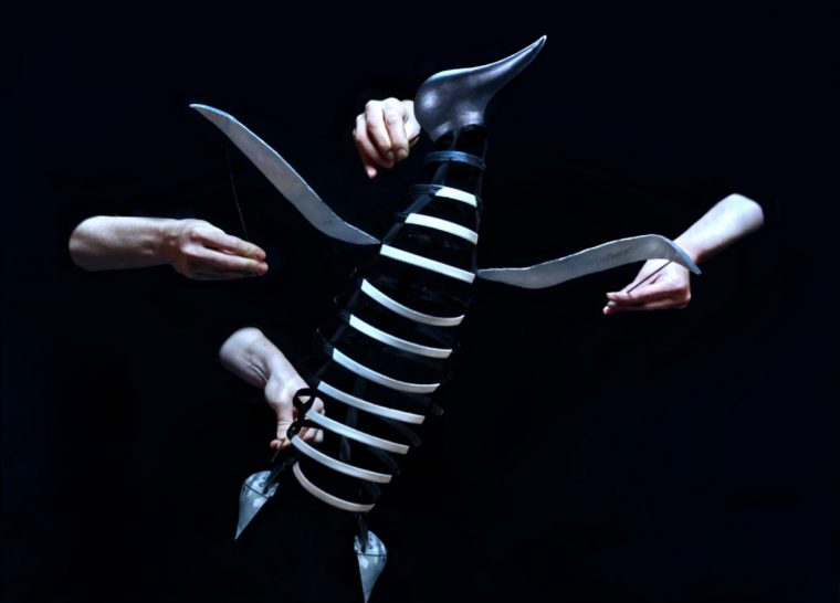 Le Complexe du Pingouin