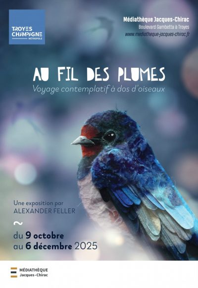 Exposition « Au fil des plumes : Voyage contemplatif à dos d’oiseaux » d’Alexander Feller