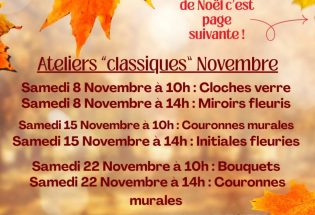 © Natacha M. - Echinops