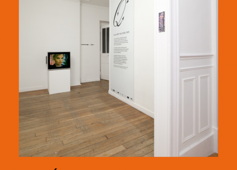 Conférence et lancement du livre de Brice Dellsperger