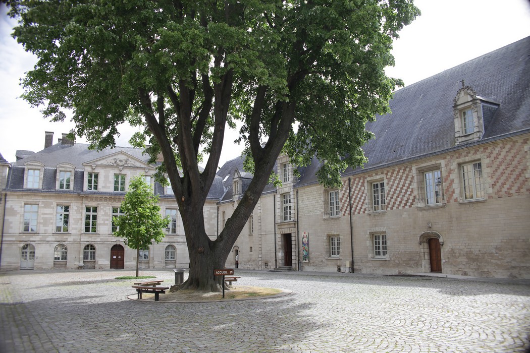 Visite guidée « Et si l’eau n’était pas que bleue ? »