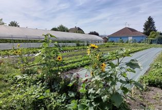 Les Maraichers des Viennes