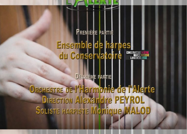 Concert céleste « Quand les cordes vibrent en harmonie »