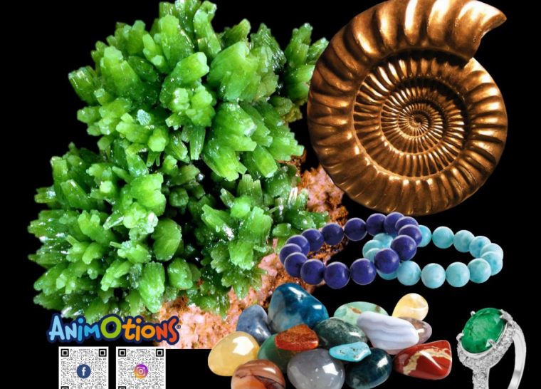 2ème Salon Minéraux Fossiles Cristaux & Bien-Être Bijoux et Gemmes de Troyes
