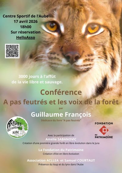 Conférence « A pas feutrés et les voix de la forêt »