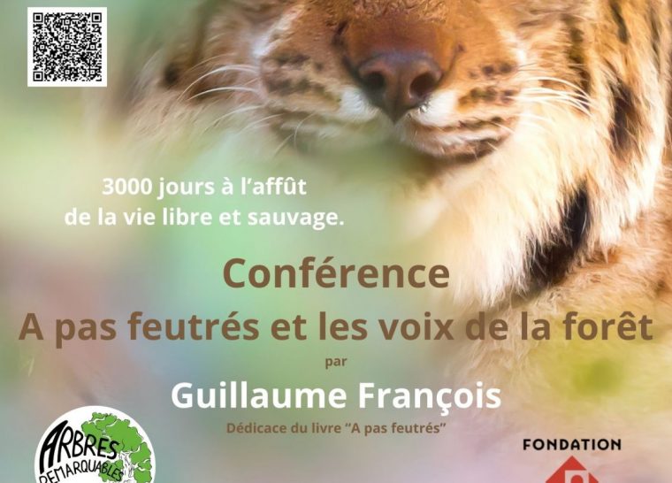 Conférence « A pas feutrés et les voix de la forêt »