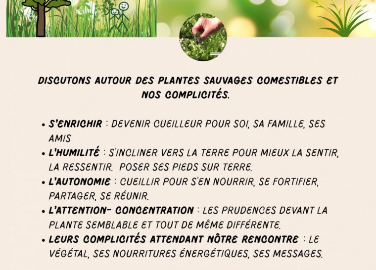 Conférence : Plantes sauvages et comestibles