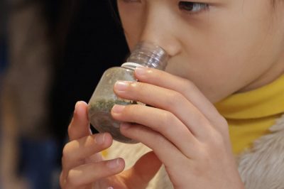Visite ludique « Nature et sens en éveil »