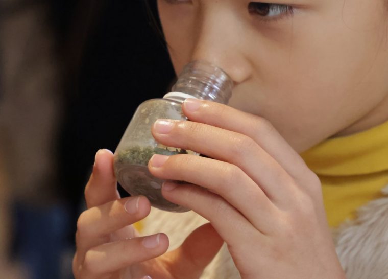 Visite ludique « Nature et sens en éveil »