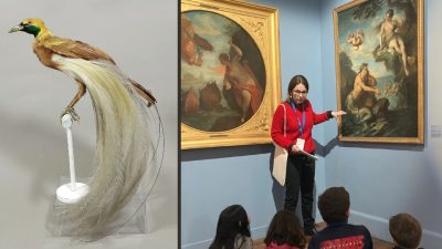 Visite-atelier en famille « Les animaux fantastiques du musée »