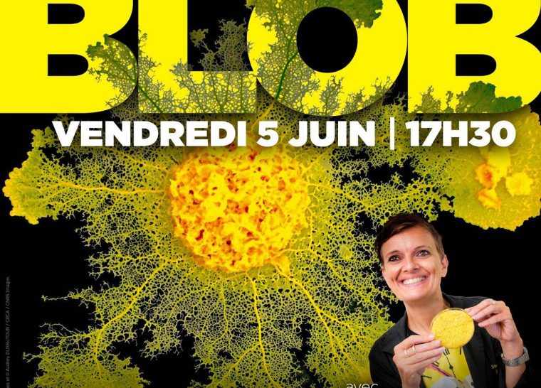 Conférence – Le Blob