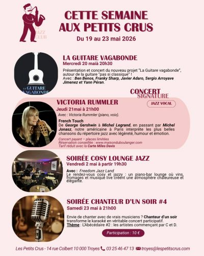 Chanteur d&rsquo;un soir #4