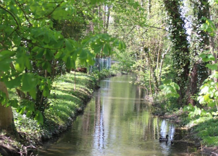 Flânerie – Le Jardin Mediéval de Rachi