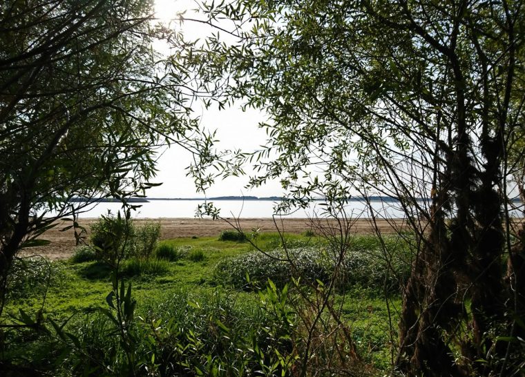 Visite nature – Balade champenoise