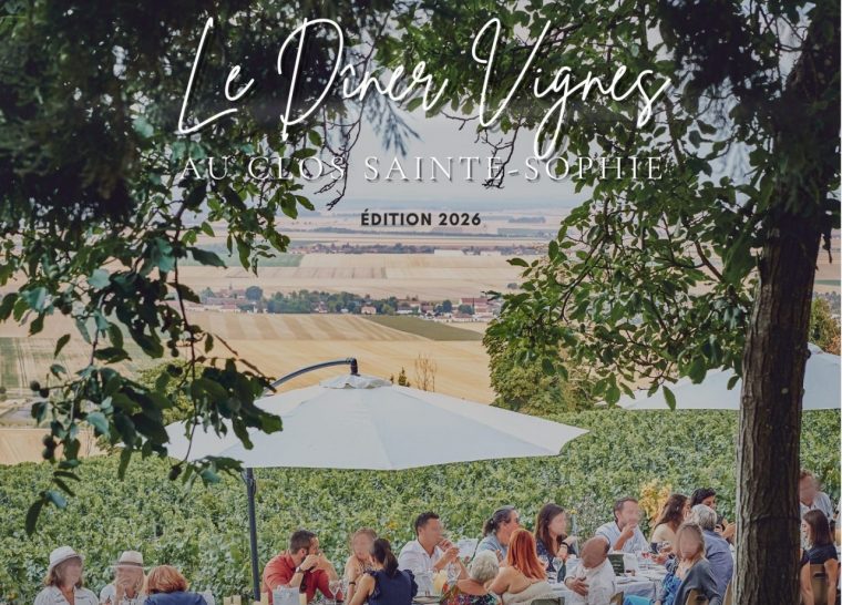 Le Dîner Vignes par OenoSpheres