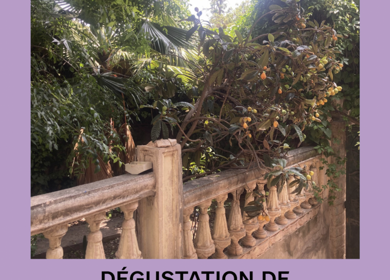 Dégustation de champagne à Passages