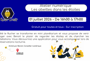 Atelier numérique Les abeilles dans les étoiles