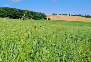 Gite Ferme de la Renaissance