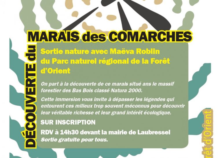 À la rencontre du marais des Comarches