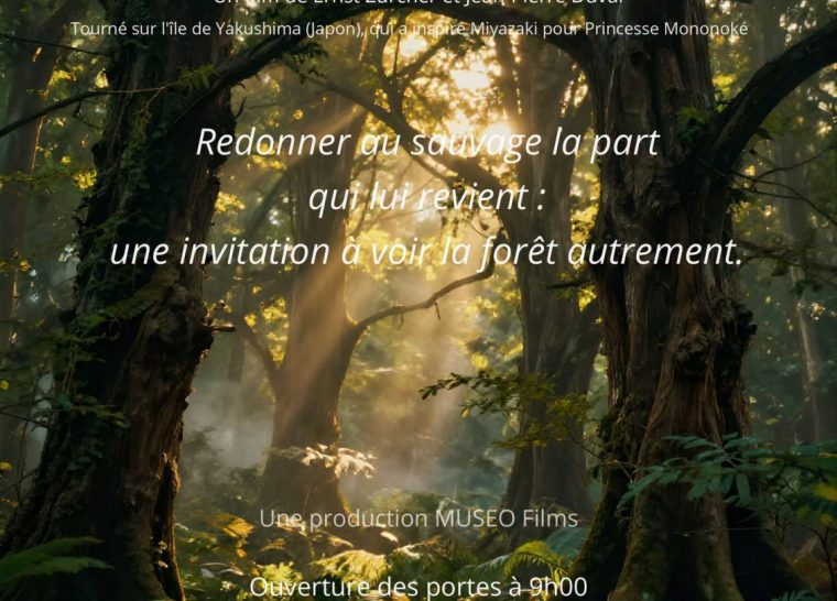 Projection « La Forêt de la Princesse »
