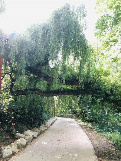 Atelier « bien-être & naturopathie » en Automne
