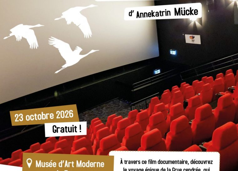 Projection – Échanges « La Grue cendrée : Sur les ailes d’une géante » de Annekatrin Mücke
