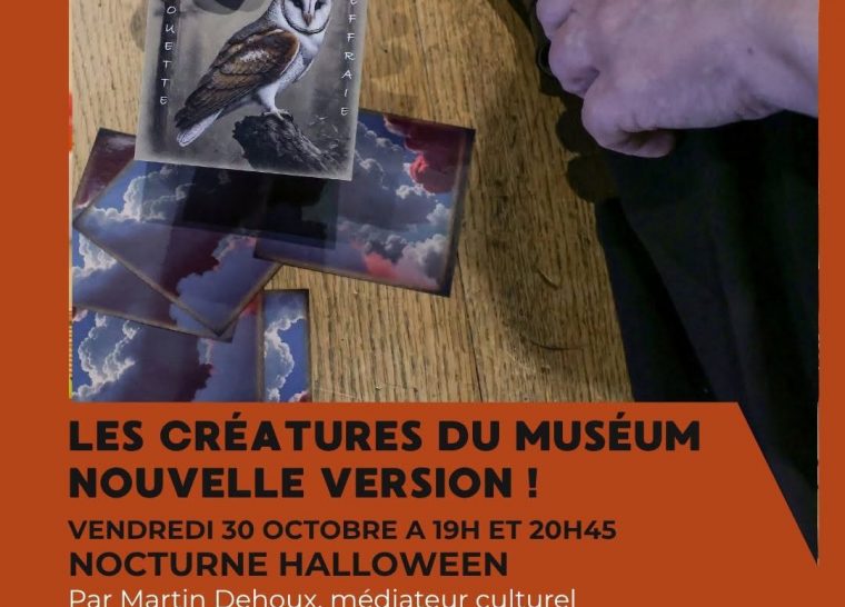 Nocturne Halloween : Les créatures du muséum Nouvelle version !