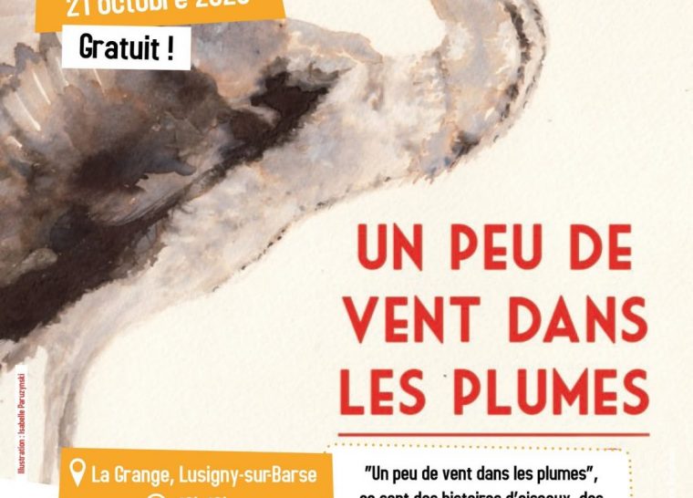 Spectacle « Un peu de vent dans les plumes »