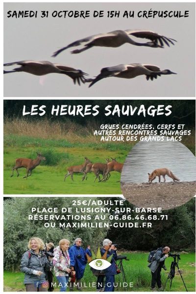 Les heures sauvages